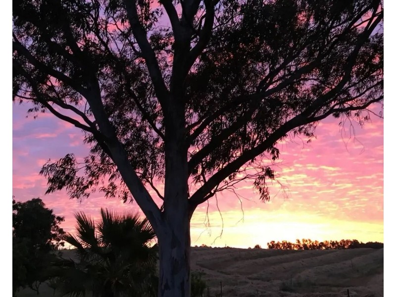 30 Catanese Road, Gunbower VIC 3566