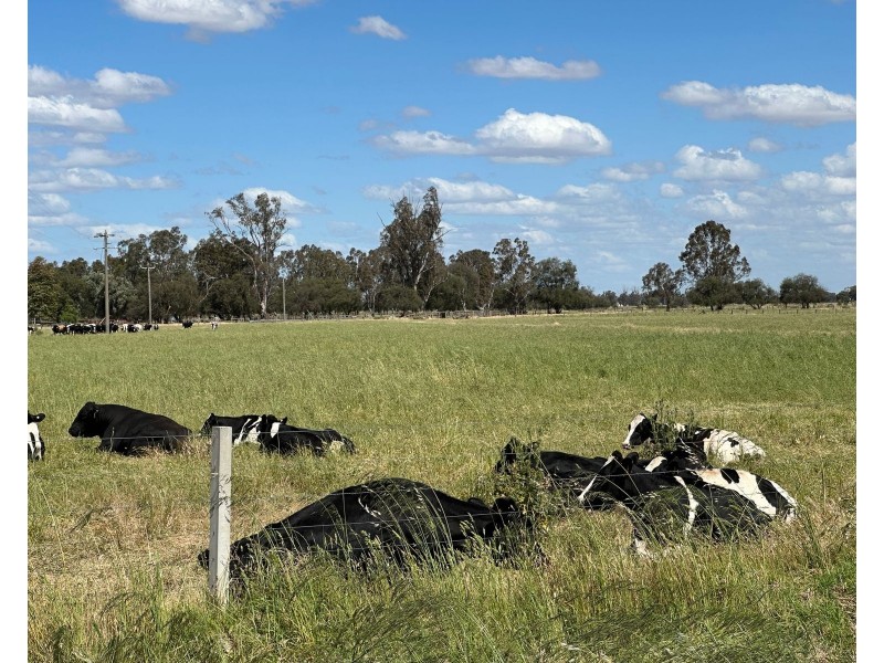 80 Oberins Road, Gunbower VIC 3566