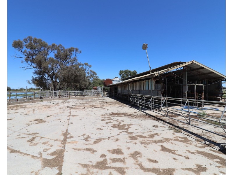 80 Oberins Road, Gunbower VIC 3566