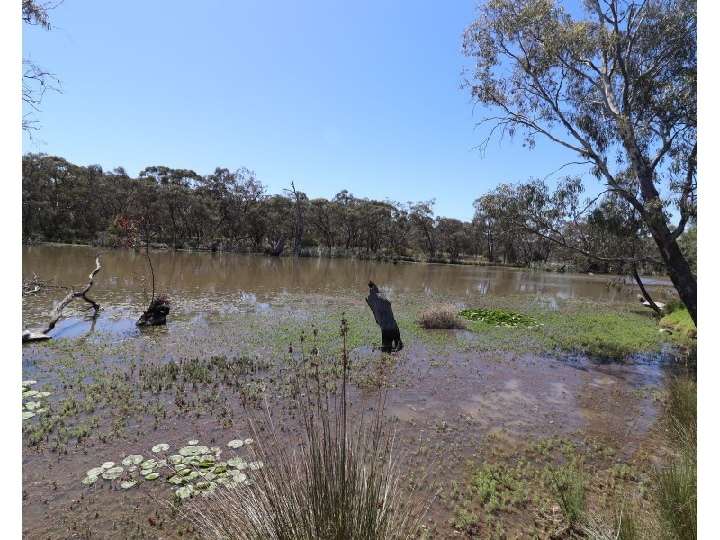 80 Oberins Road, Gunbower VIC 3566