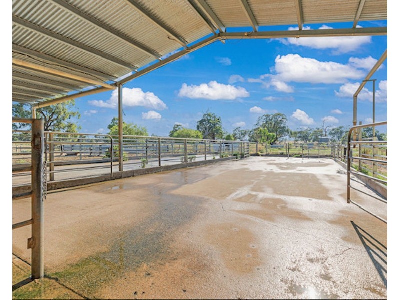 60 McNaught Road, Patho VIC 3564