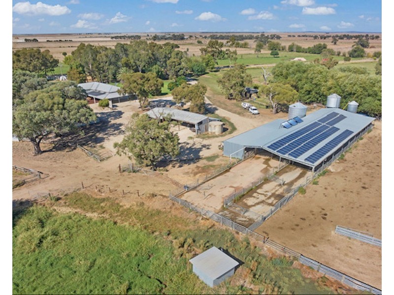 60 McNaught Road, Patho VIC 3564