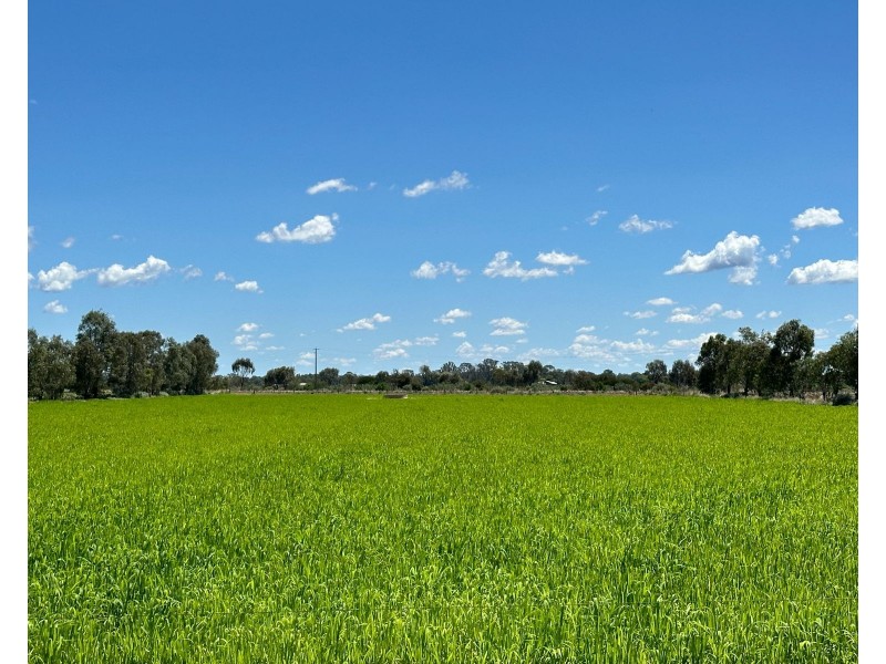 4475 Murray Valley Highway, Gunbower VIC 3566