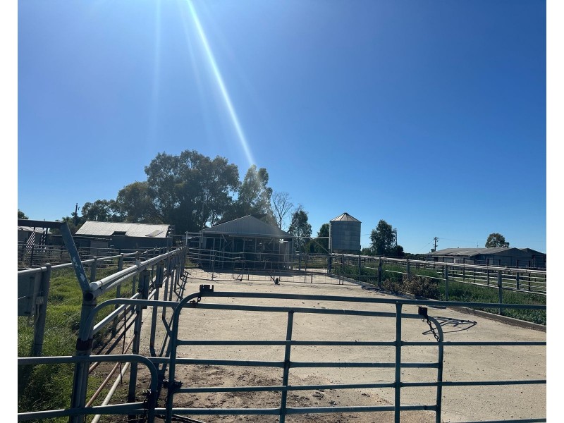 116 Danahers Road, Cohuna VIC 3568