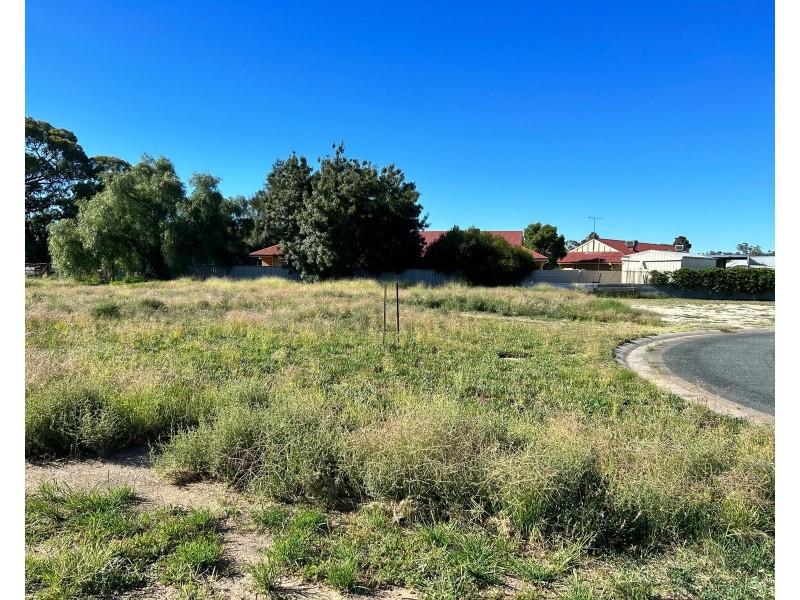 20 Briggs Court, Barham NSW 2732