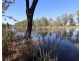 391 Cohuna Island Road, Cohuna VIC 3568