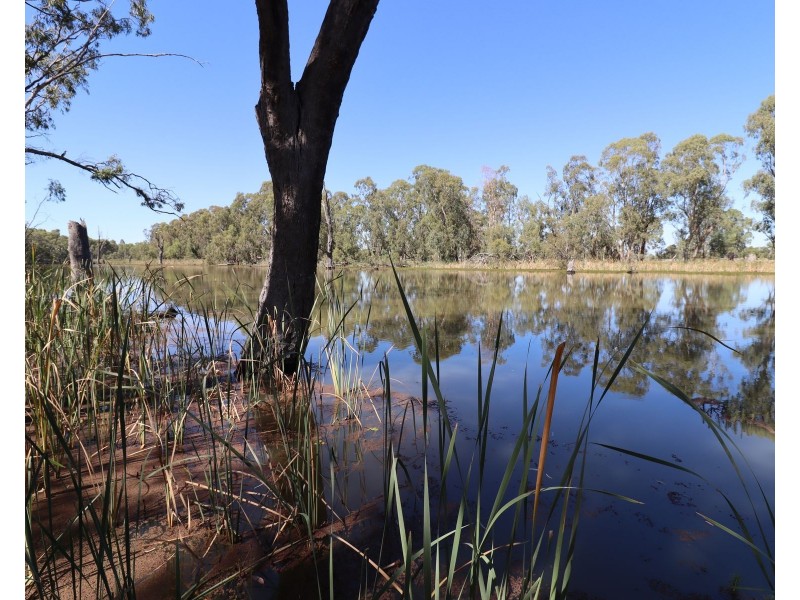 391 Cohuna Island Road, Cohuna VIC 3568