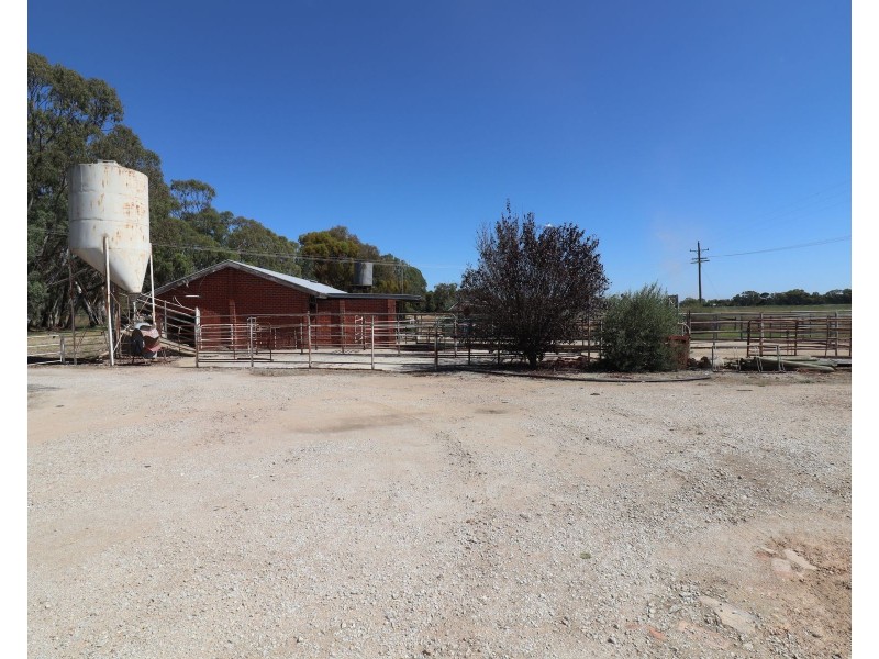 391 Cohuna Island Road, Cohuna VIC 3568