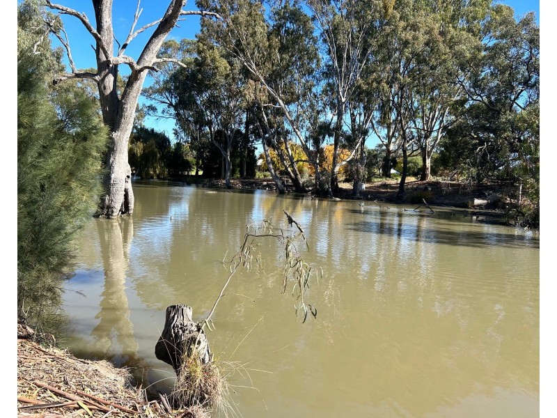 39 Vinecombe Lane, Barham NSW 2732