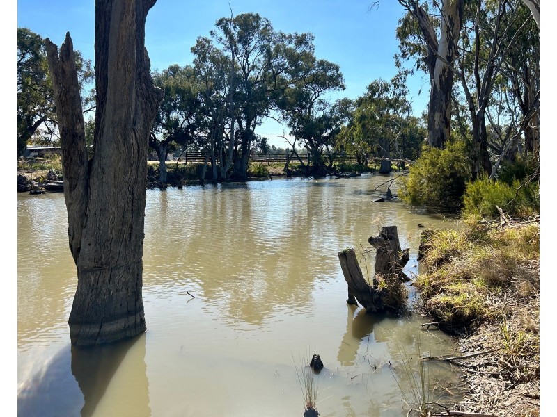 39 Vinecombe Lane, Barham NSW 2732