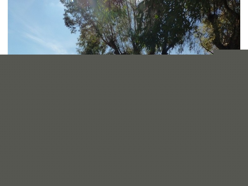 21 Koala Street,, Wakool NSW 2710