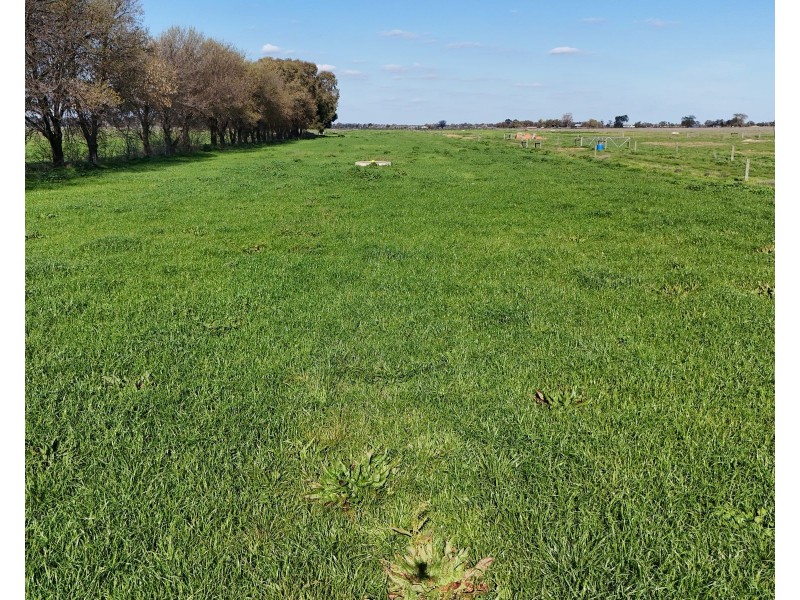 00 Kennedys Road, Cohuna VIC 3568