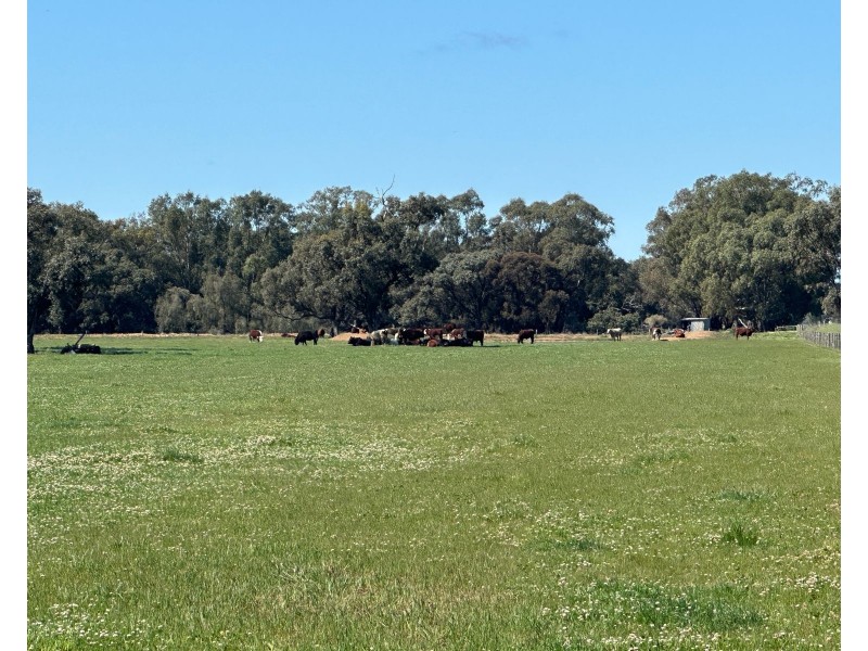 00 Cullen Park Road, Cohuna VIC 3568