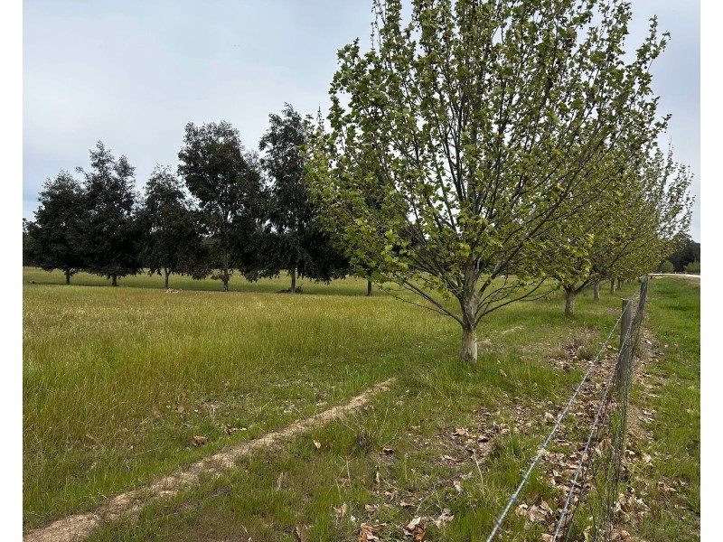 216 North Barham Road, Barham NSW 2732