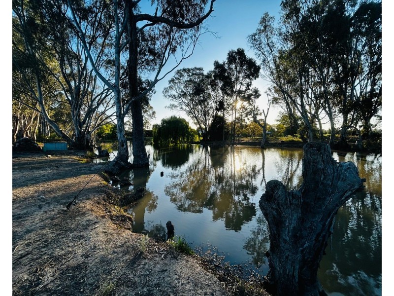 37 Vinecombe Lane, Barham NSW 2732