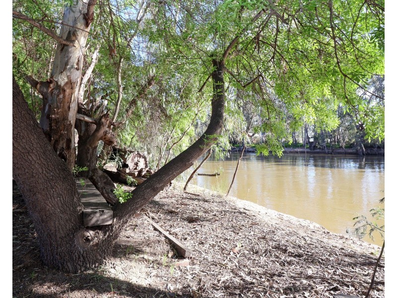 51 Jamieson Avenue, Barham NSW 2732