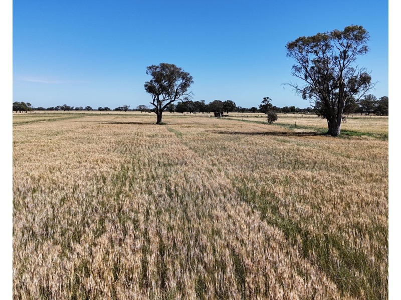 7172 Murray Valley Highway, Cullen VIC 3568