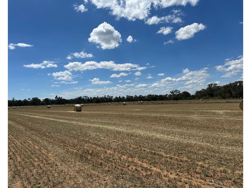 359 Roney Road, Capels Crossing VIC 3579