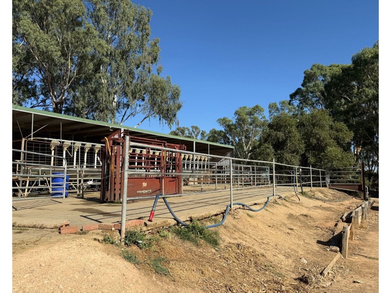 32 Ahern Road, Koondrook VIC 3580