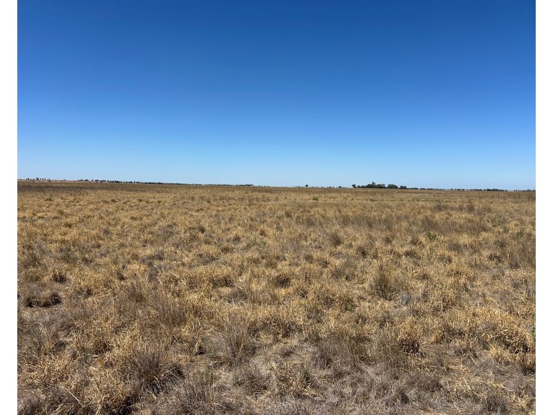 516 Jungaburra Road, Terrick Terrick VIC 3575