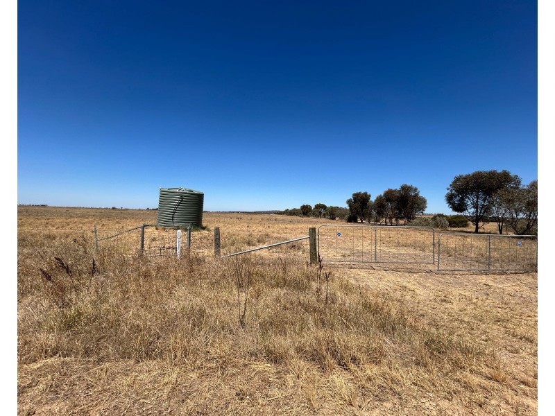 516 Jungaburra Road, Terrick Terrick VIC 3575