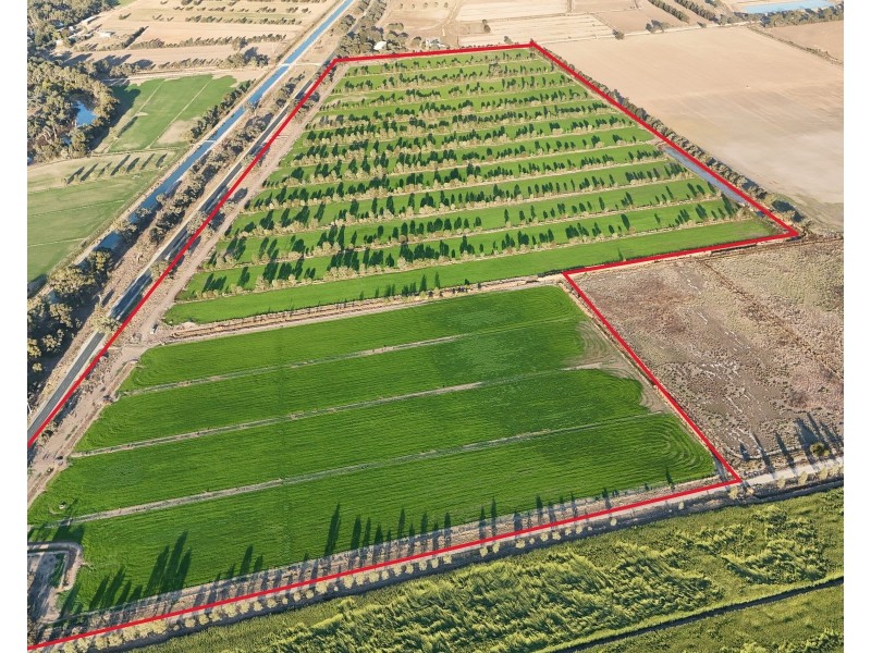 5667 Murray Valley Highway, Wee Wee Rup VIC 3568