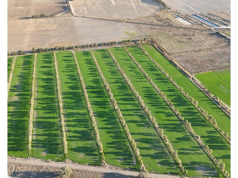 5667 Murray Valley Highway, Wee Wee Rup VIC 3568