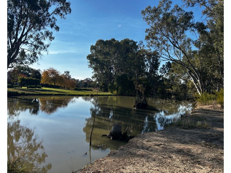 31 Vinecombe Lane, Barham NSW 2732