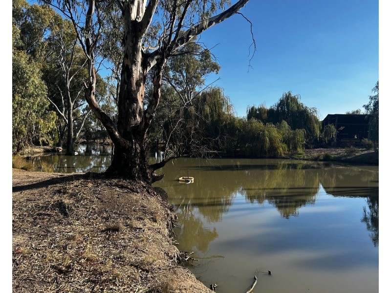 31 Vinecombe Lane, Barham NSW 2732