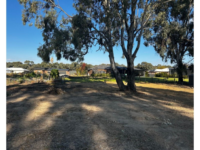 31 Vinecombe Lane, Barham NSW 2732