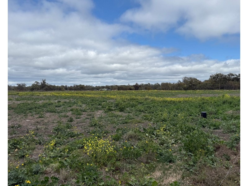 4 Murray street, Moulamein NSW 2733