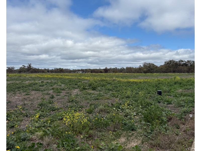 4 Murray street, Moulamein NSW 2733
