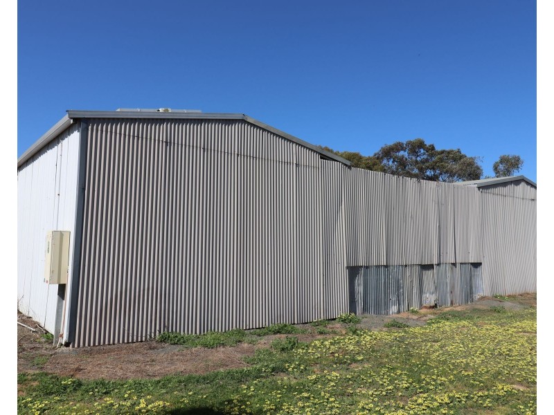 6 Fox Island Road, Gunbower VIC 3566