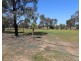 6 Fox Island Road, Gunbower VIC 3566