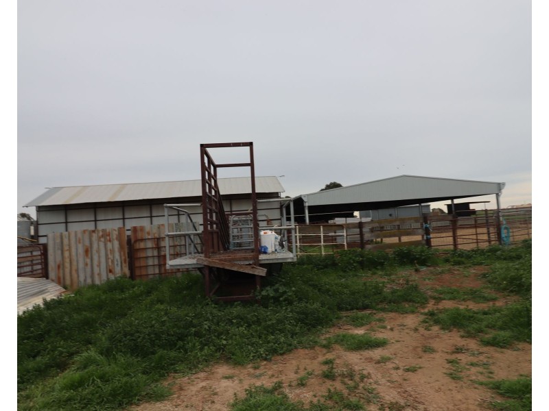 1354 Gunbower – Pyramid Road, Gunbower VIC 3566