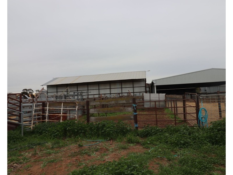 1354 Gunbower – Pyramid Road, Gunbower VIC 3566