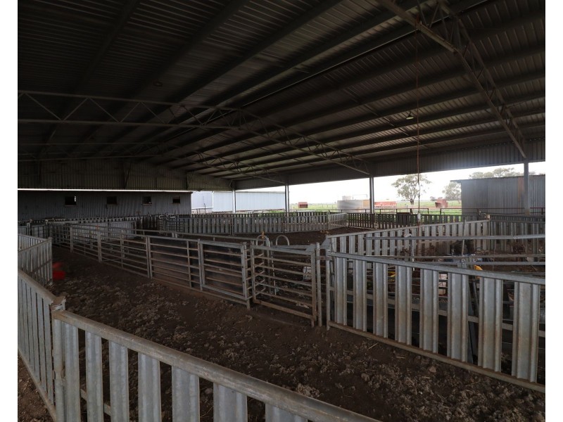 1354 Gunbower – Pyramid Road, Gunbower VIC 3566