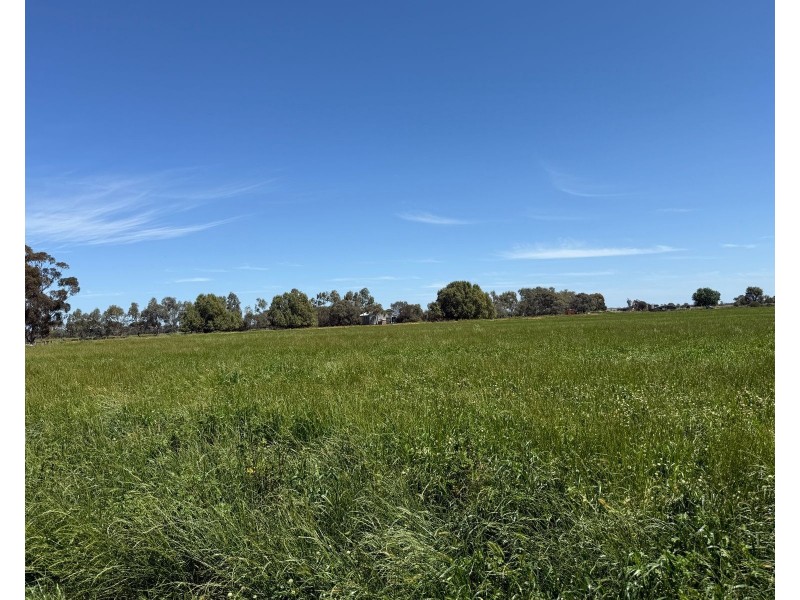94 Gunbower-Pyramid Road, Gunbower VIC 3566