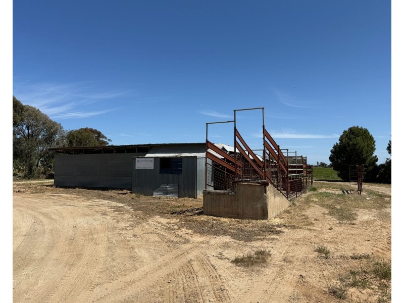 94 Gunbower-Pyramid Road, Gunbower VIC 3566