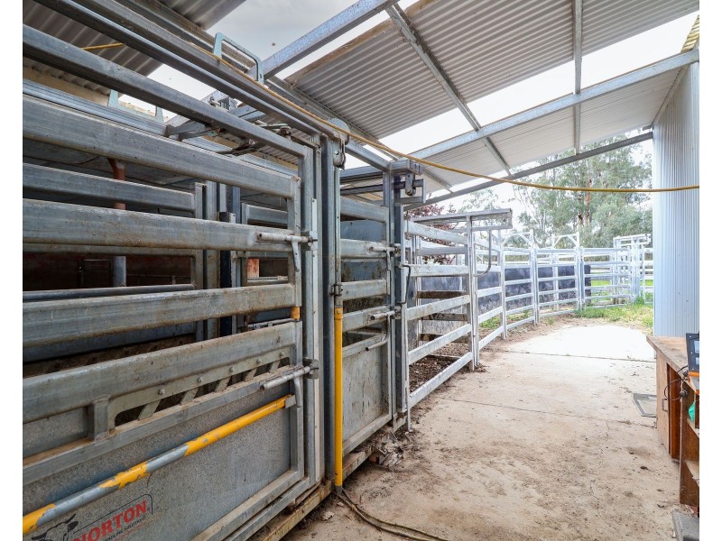 135 Kennedys Road, Cohuna VIC 3568