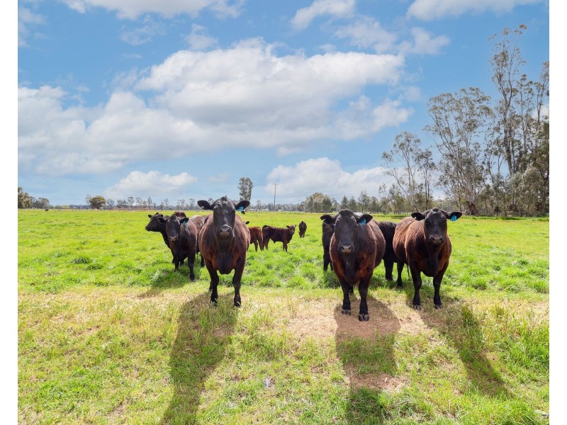 135 Kennedys Road, Cohuna VIC 3568