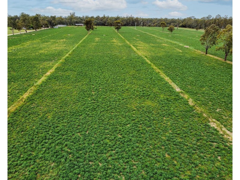 135 Kennedys Road, Cohuna VIC 3568