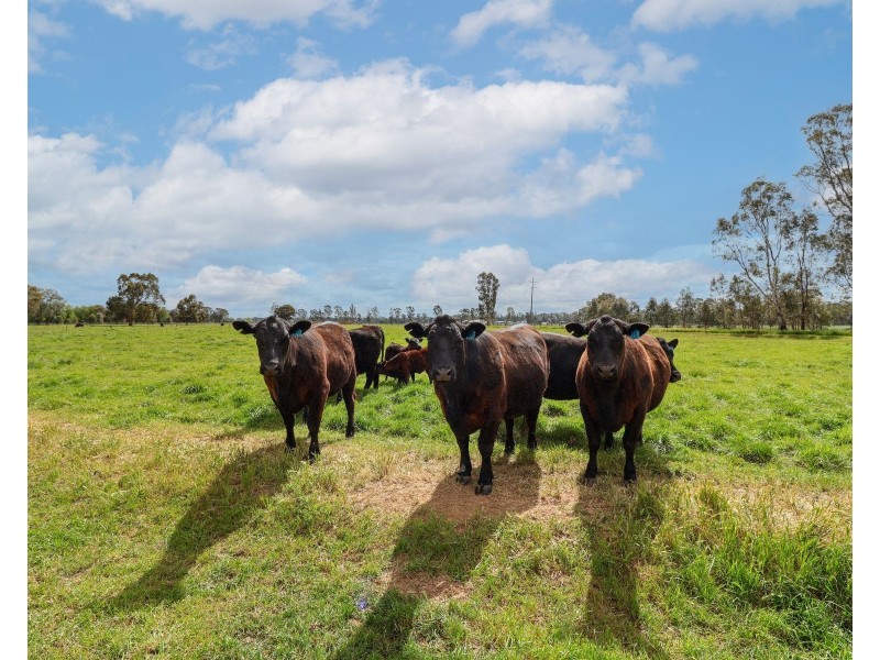 135 Kennedys Road, Cohuna VIC 3568