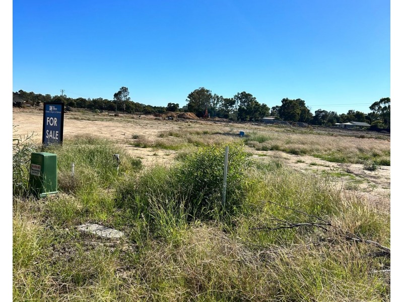 36 Armstrong Drive, Barham NSW 2732