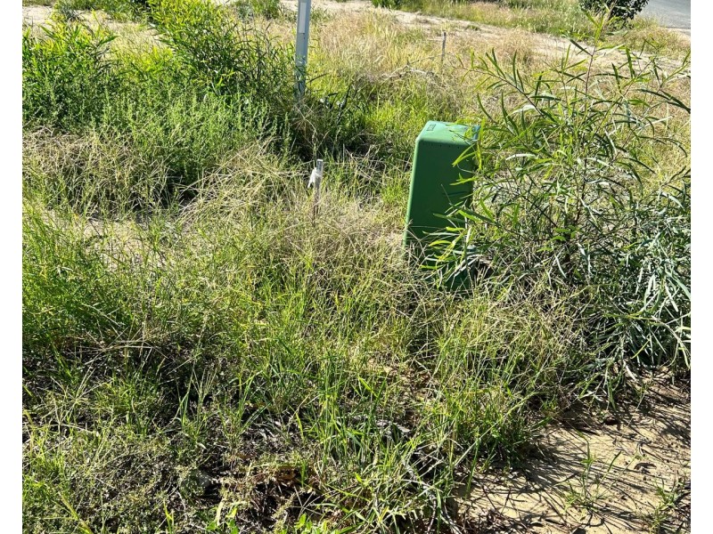 36 Armstrong Drive, Barham NSW 2732