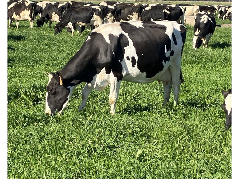 5104B Murray Valley Highway, Castle Donnington VIC 3585