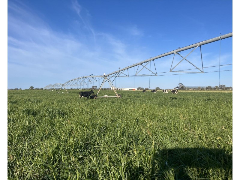 5104B Murray Valley Highway, Castle Donnington VIC 3585