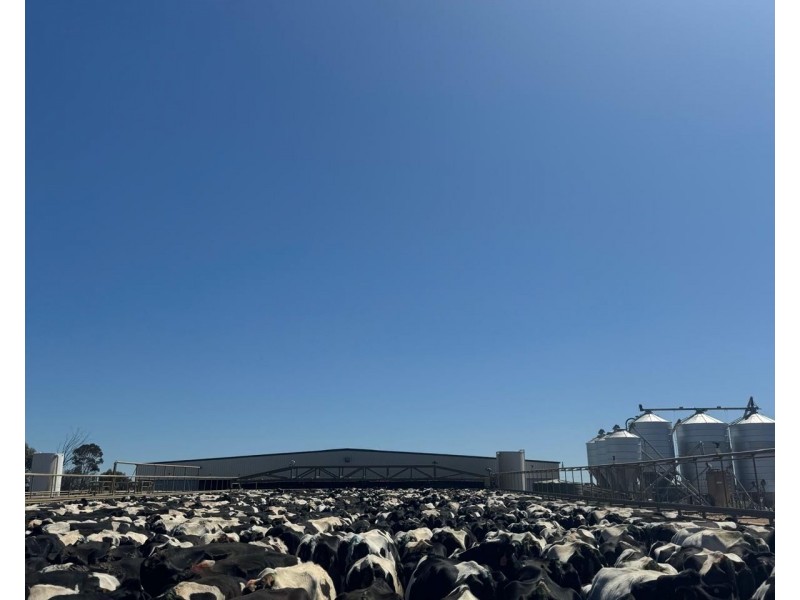 5104B Murray Valley Highway, Castle Donnington VIC 3585