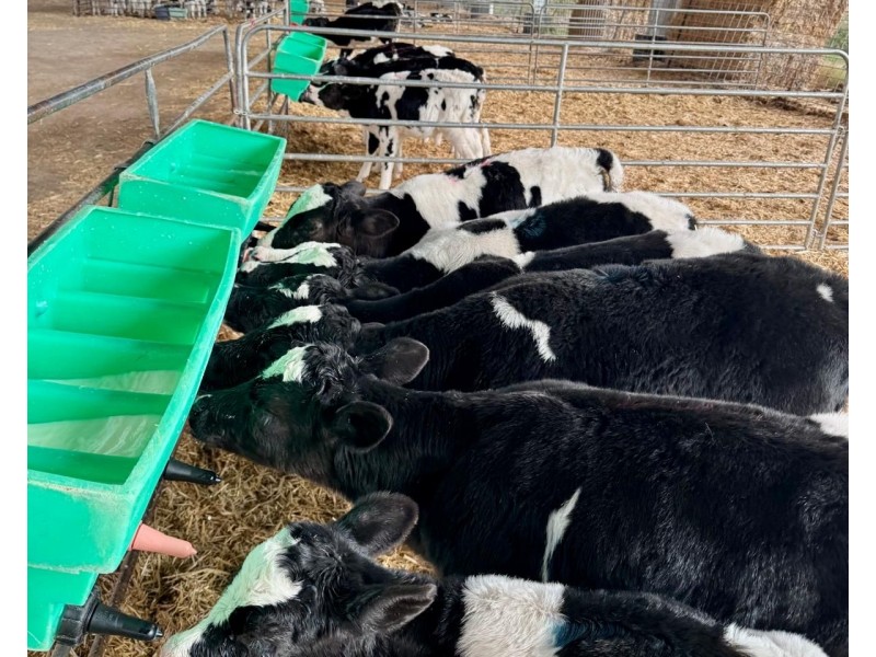 5104B Murray Valley Highway, Castle Donnington VIC 3585