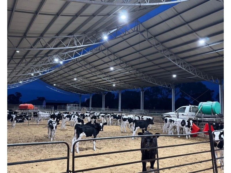 5104B Murray Valley Highway, Castle Donnington VIC 3585